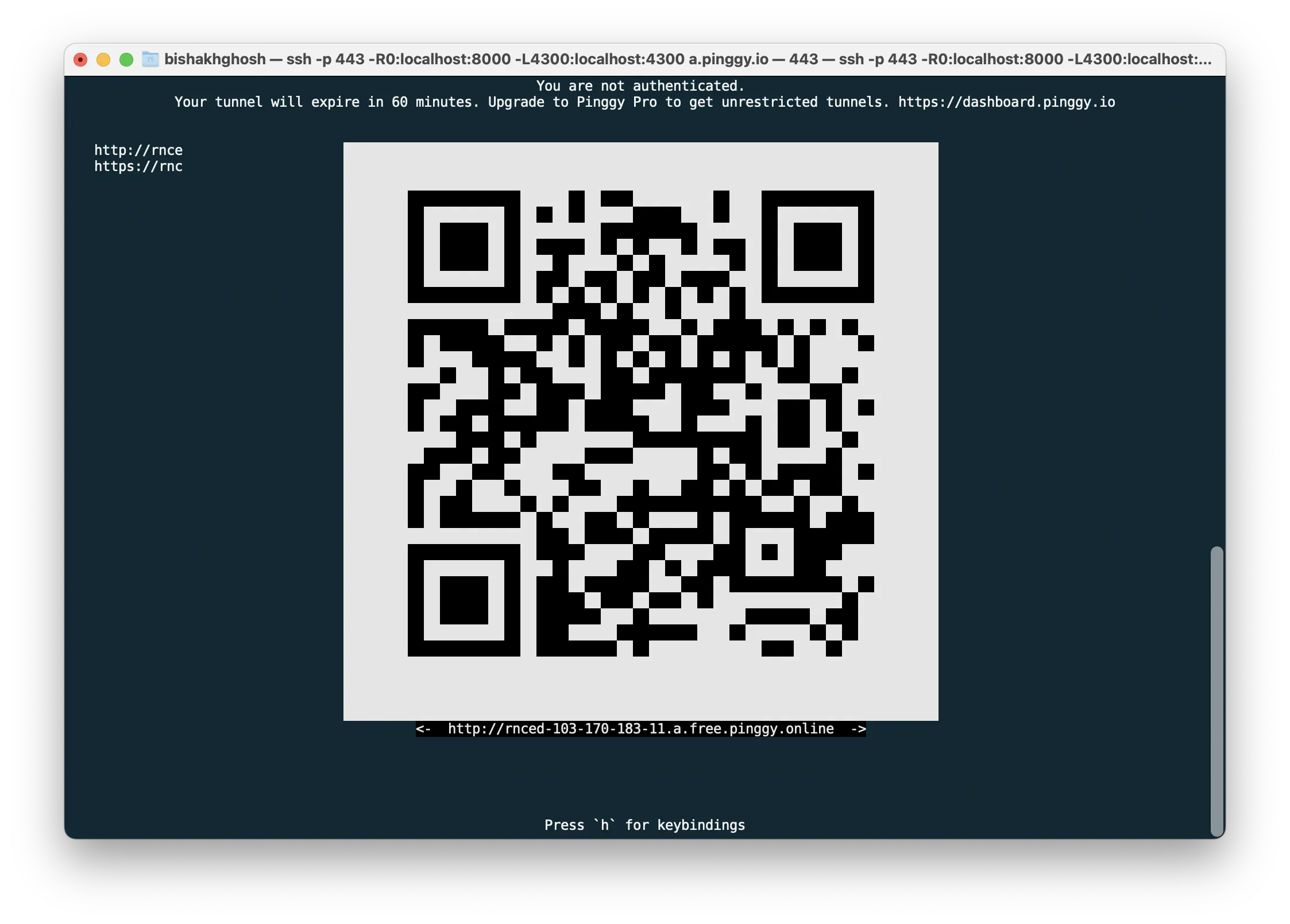 Press c to display QR-Code in ASCII